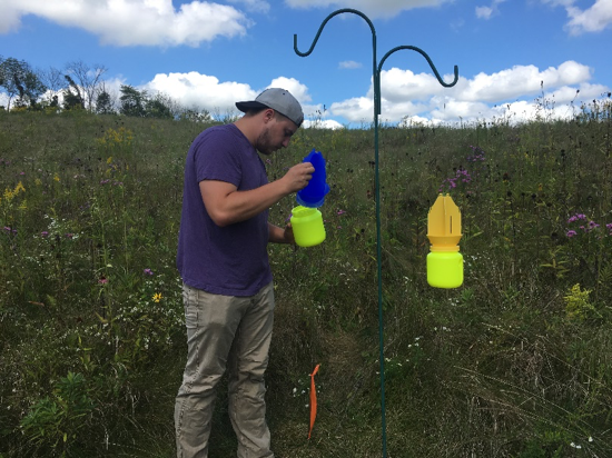 Student researcher examining bird feeder in a field.